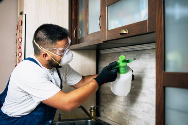 Best Pest Prevention Services  in Laurens, SC