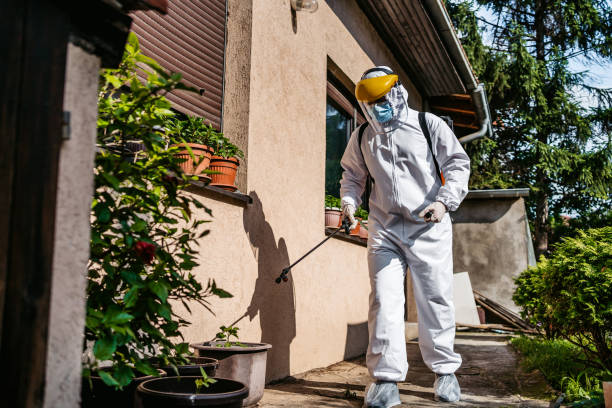 Best Local Pest Control Services  in Laurens, SC