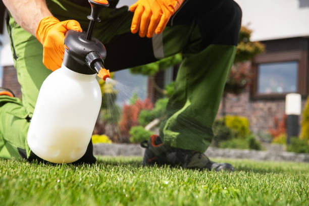 Best Pest Removal Services  in Laurens, SC