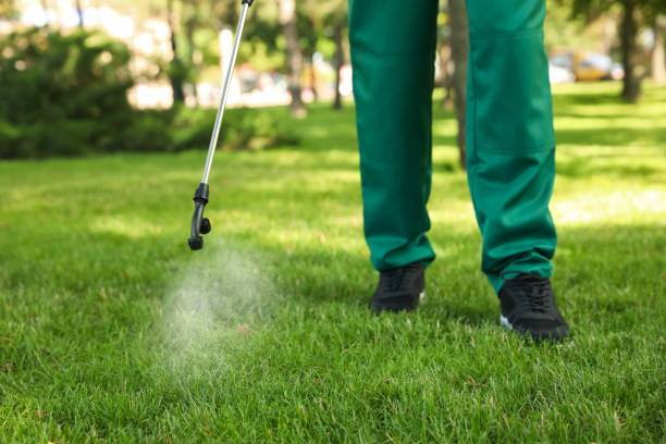 Best Insect Control  in Laurens, SC