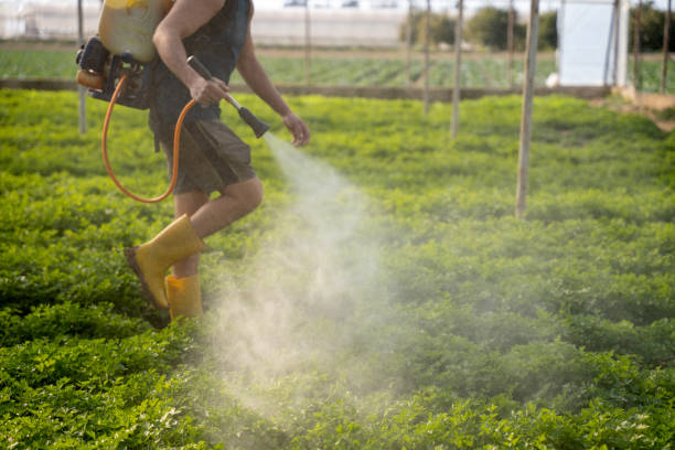 Best Affordable Pest Control Services  in Laurens, SC