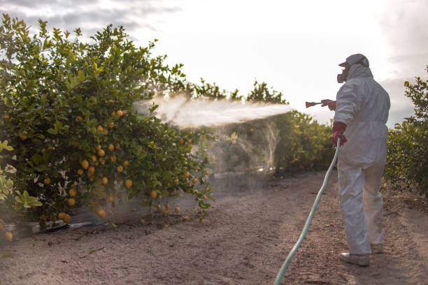 Best Bed Bug Extermination  in Laurens, SC