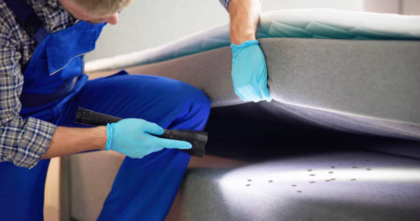 Best Pest Control Near Me in Laurens, SC