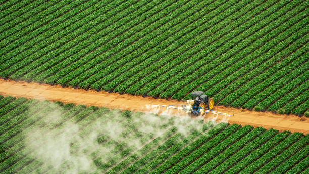 Best Pest Control for Homes  in Laurens, SC